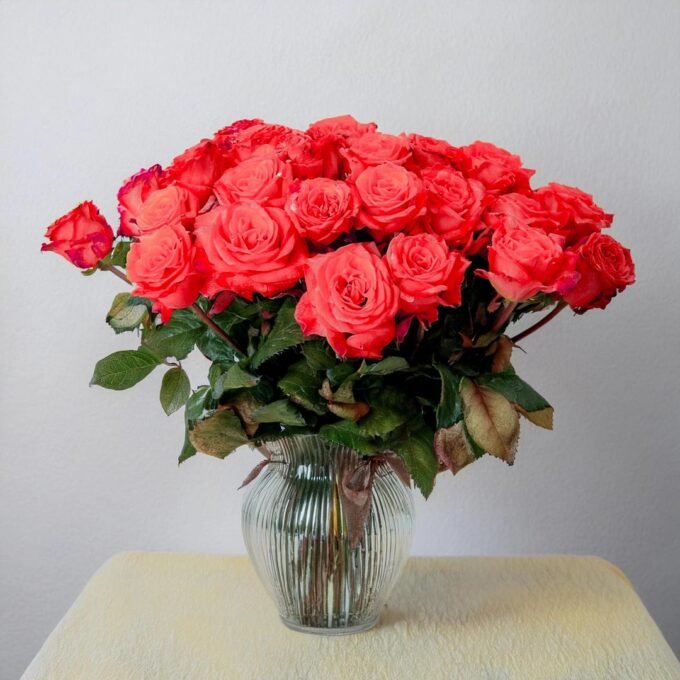 50 roses every month